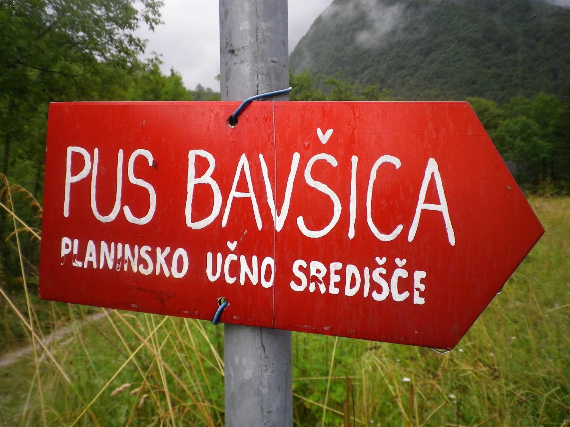 Pus Bavsica Hostel Log pod Mangartom Bagian luar foto